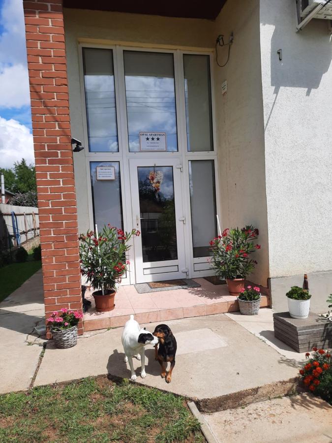 Opal Apartament